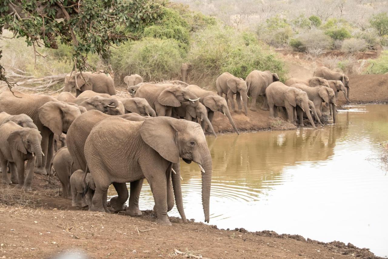 Mavela Game Lodge Mkuze Bagian luar foto
