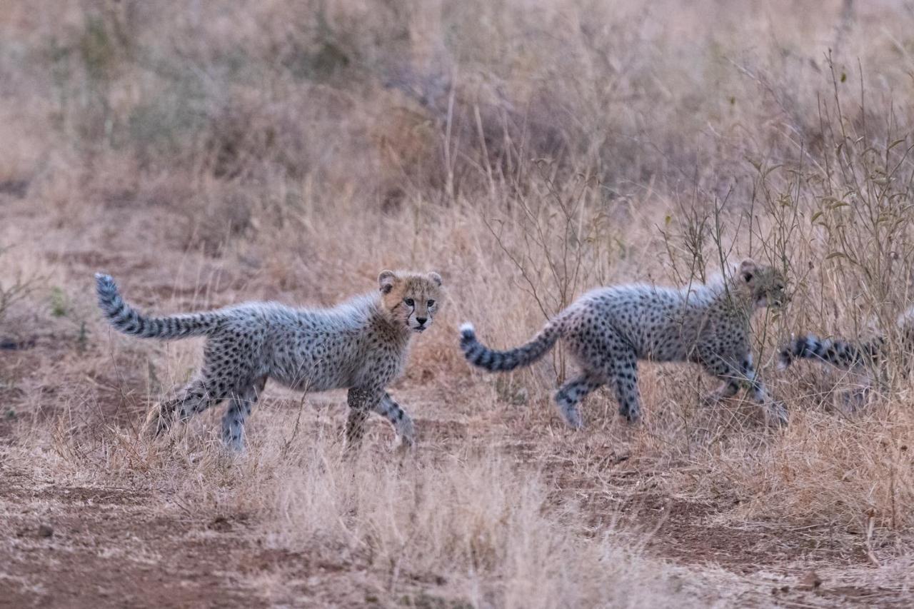 Mavela Game Lodge Mkuze Bagian luar foto
